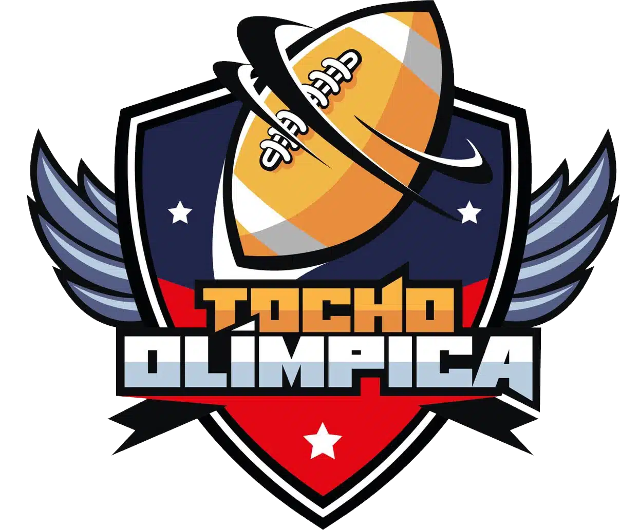 Tocho Olímpica - Academia de Tocho Bandera en CDMX